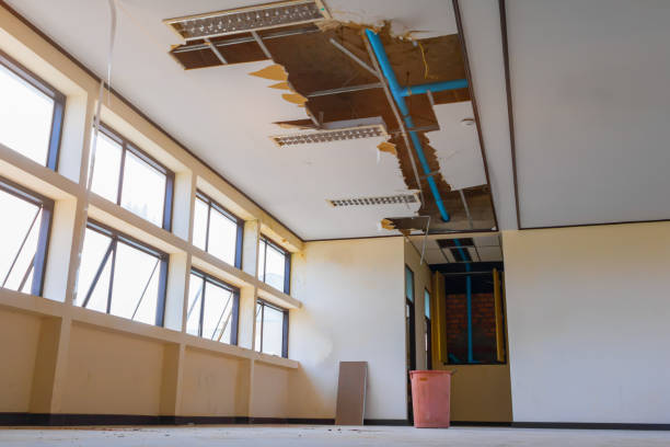 Best Water damage contractors near me  in Orangeville, UT