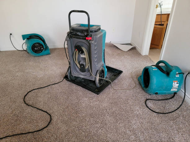 Best Carpet water damage restoration  in Orangeville, UT