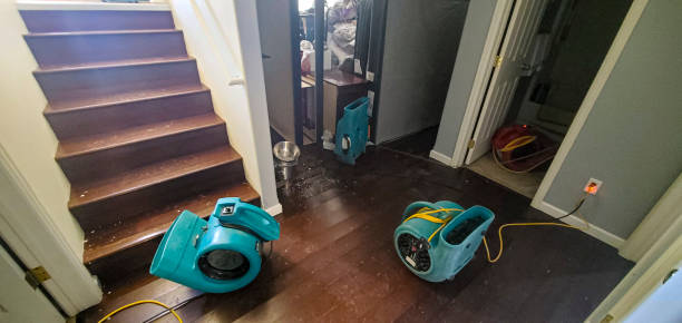 Trusted UT Water damage restoration Experts