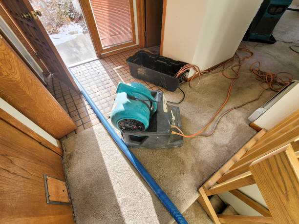 Best Water damage cleanup near me  in Orangeville, UT