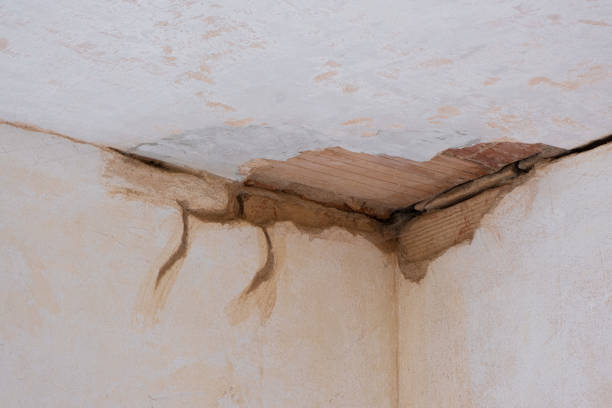 Best Professional water damage repair  in Orangeville, UT