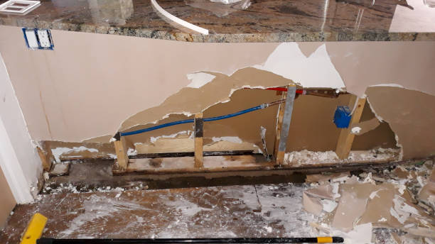 Best Water damage restoration near me  in Orangeville, UT