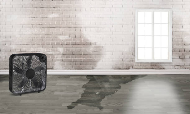 Water damage restoration process in UT
